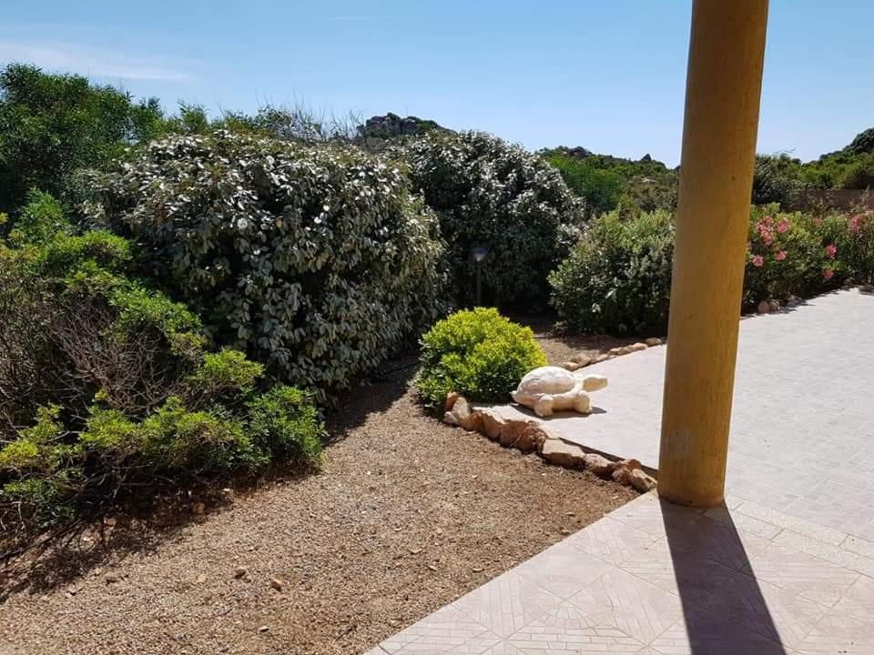 Casa Vacanze Villa Sandrina 帕拉迪索海岸 外观 照片