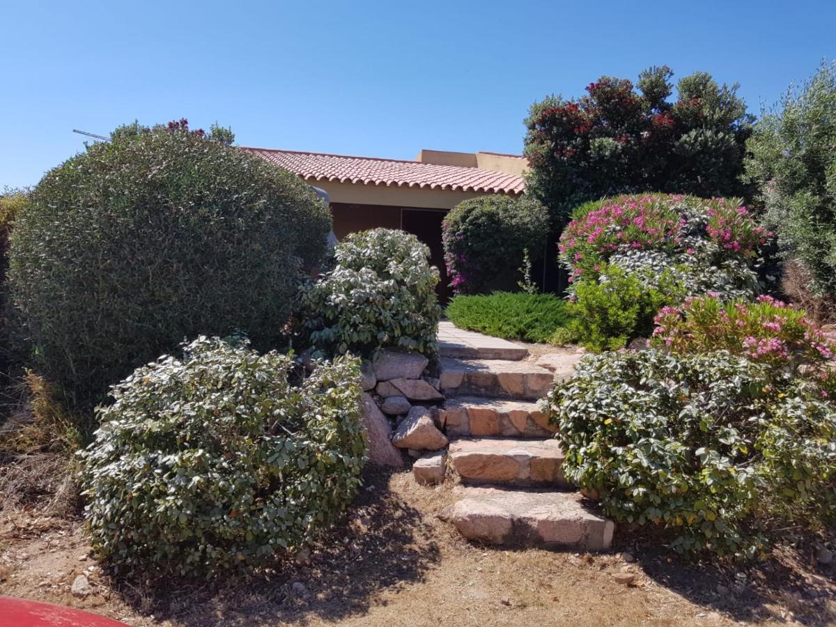 Casa Vacanze Villa Sandrina 帕拉迪索海岸 外观 照片